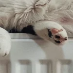 Cuánto consume una calefacción eléctrica