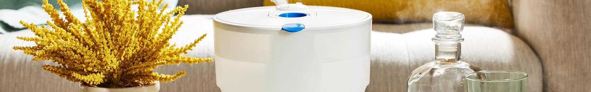 Cuánto consume un deshumidificador